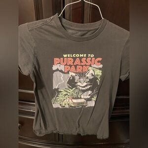 Grey Graphic Tee - Purassic Park